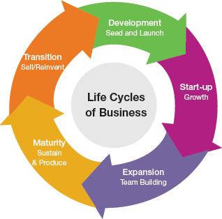 life cycle in business plan